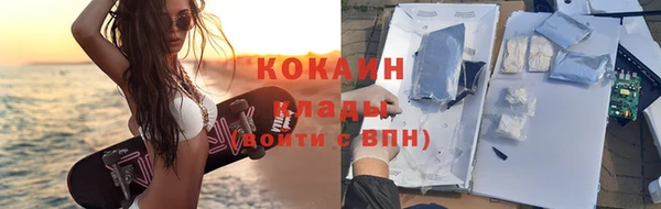 шишки Аркадак