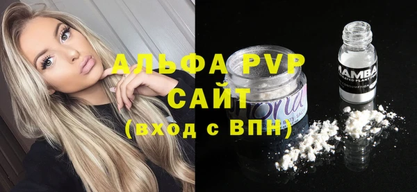 шишки Аркадак