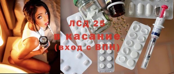 шишки Аркадак