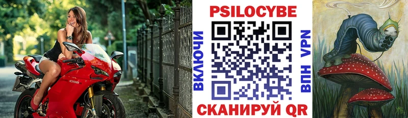 Галлюциногенные грибы Psilocybine cubensis  Купить закладки  Суворов 